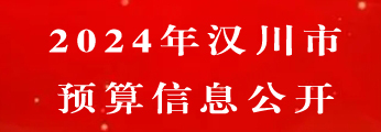 2024年預算信息公開